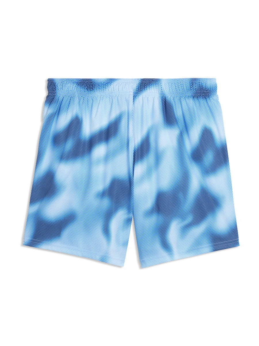 Puma Шорты плавательные мужские SWIM MEN PRINTED RASTERIZED MID SHORTS 1P