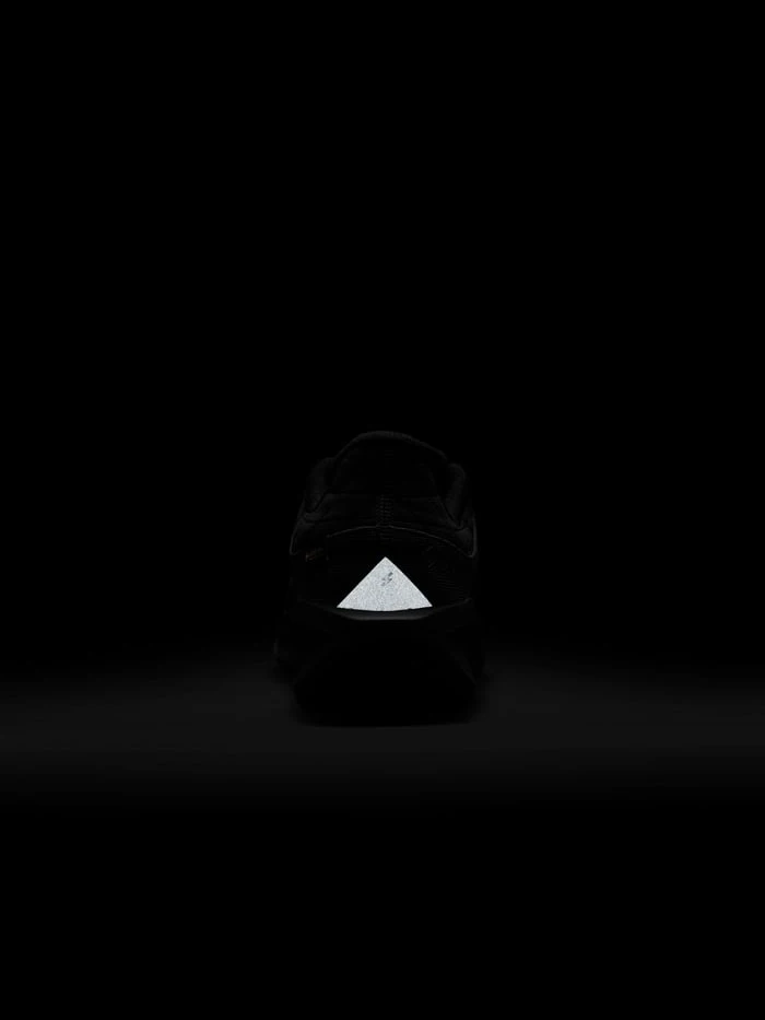 Nike Кроссовки мужские AIR WINFLO 11 GTX