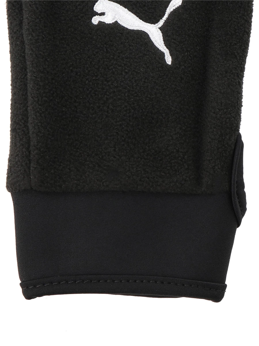 Puma Перчатки TEAMLIGA 21 WINTER GLOVES
