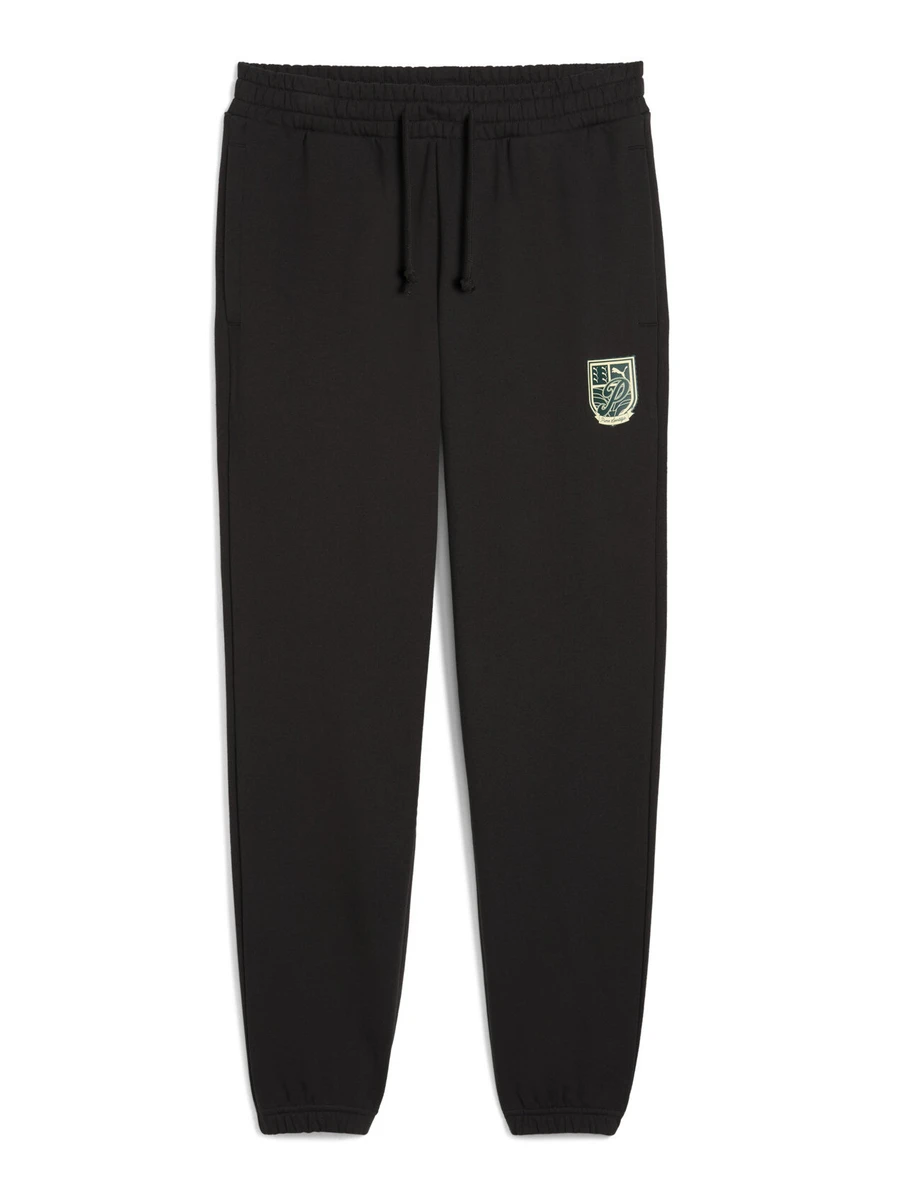 Puma Брюки мужские WARDROBE ESS SPORTS LEGACY GRAPHIC SP TR CL