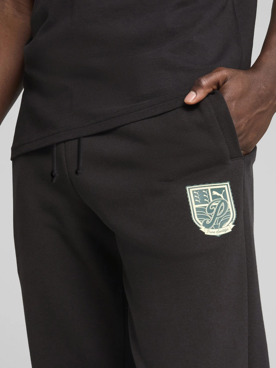 Puma Брюки мужские WARDROBE ESS SPORTS LEGACY GRAPHIC SP TR CL