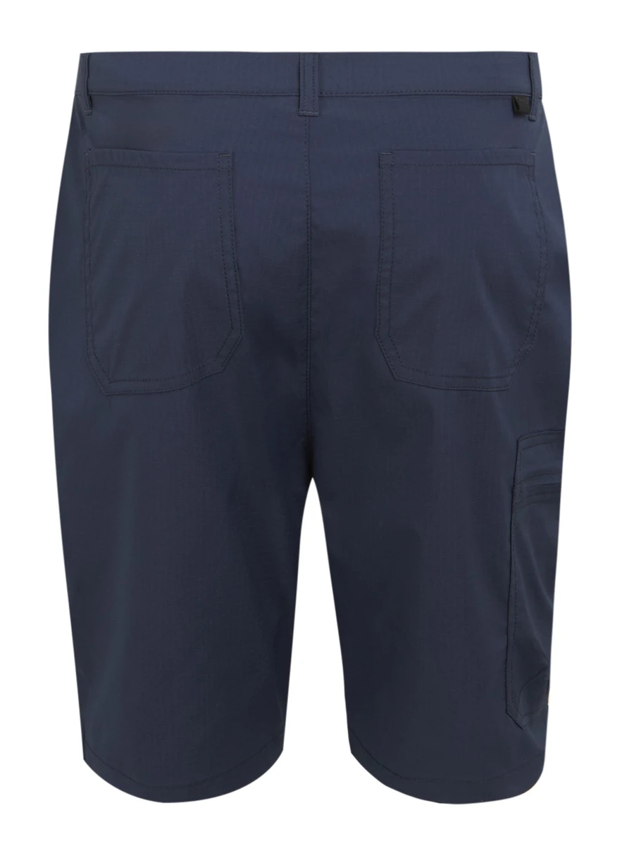 Regatta Шорты мужские DALRY SHORT