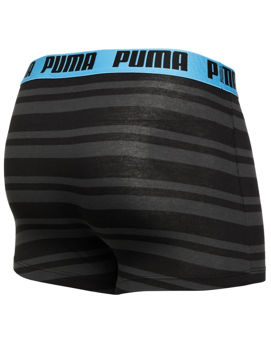 Puma Трусы мужские HERITAGE STRIPE BOXER (2 шт.)