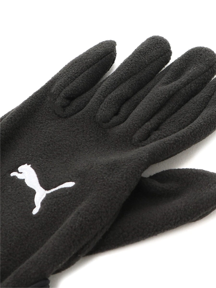 Puma Перчатки TEAMLIGA 21 WINTER GLOVES