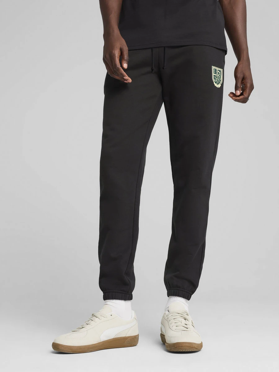 Puma Брюки мужские WARDROBE ESS SPORTS LEGACY GRAPHIC SP TR CL