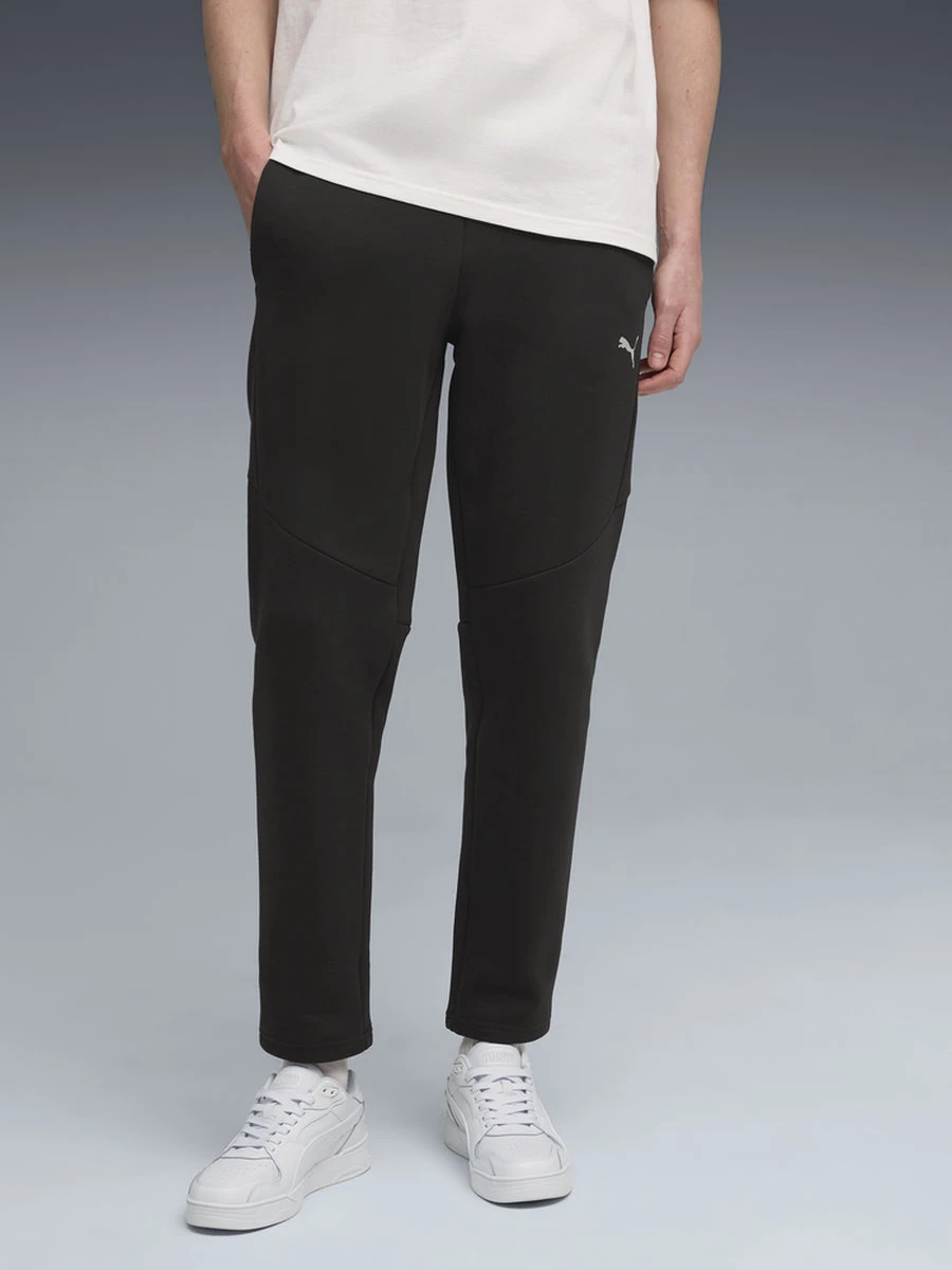 Puma Брюки мужские EVOSTRIPE PANTS DK