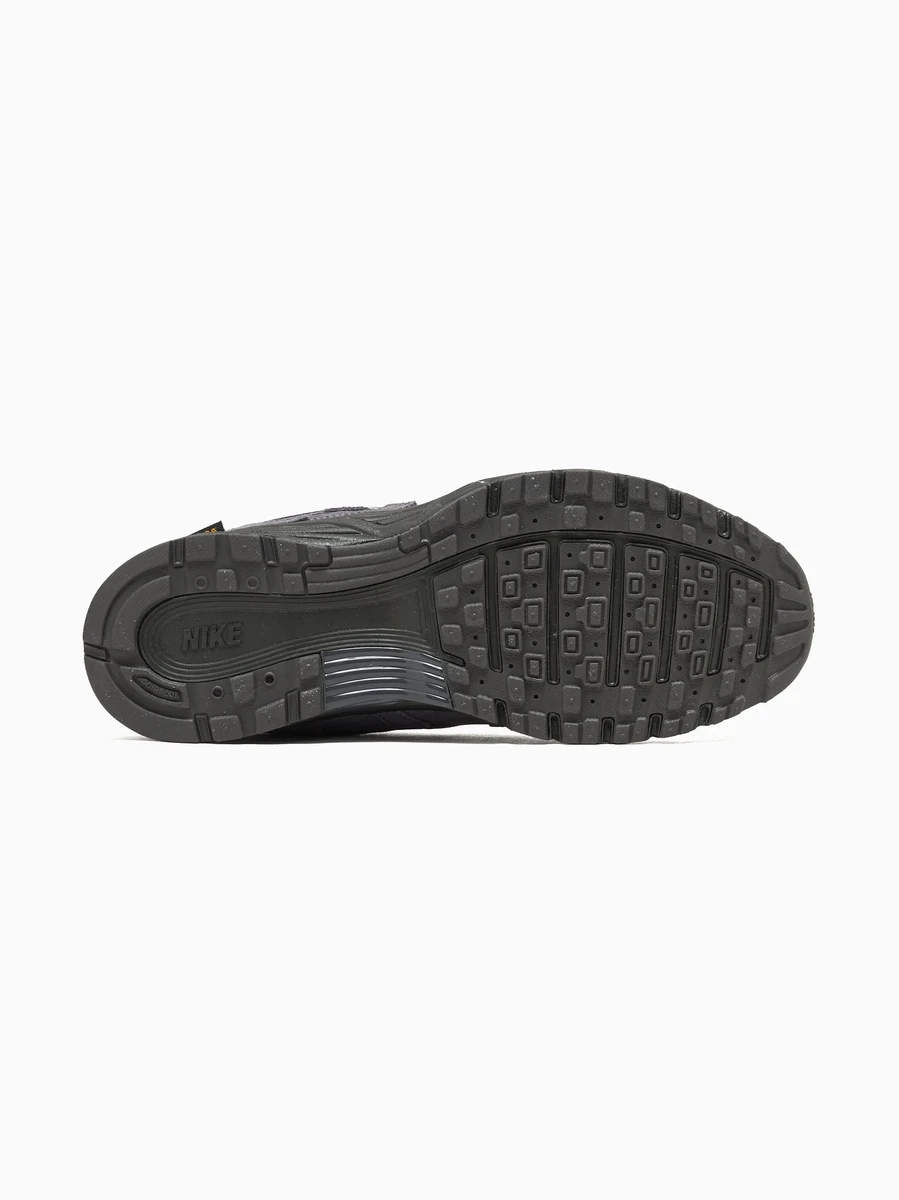 Nike Кроссовки мужские P-6000 PRM CORDURA