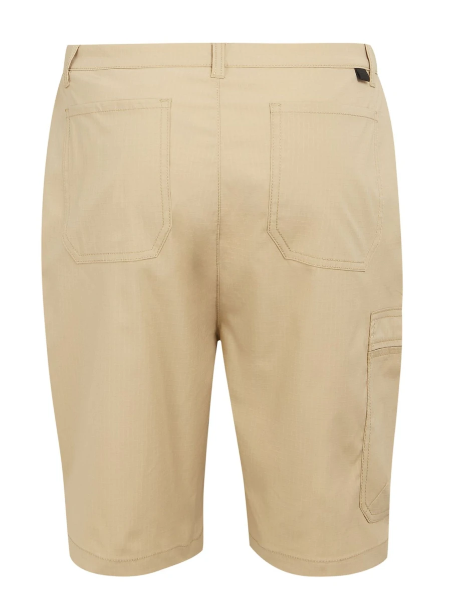 Regatta Шорты мужские DALRY SHORT