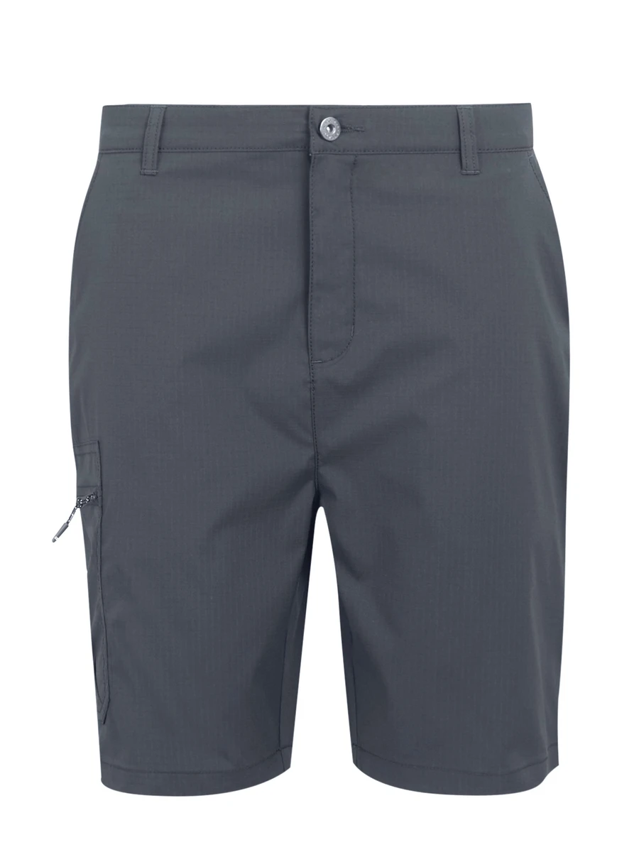 Regatta Шорты мужские DALRY SHORT