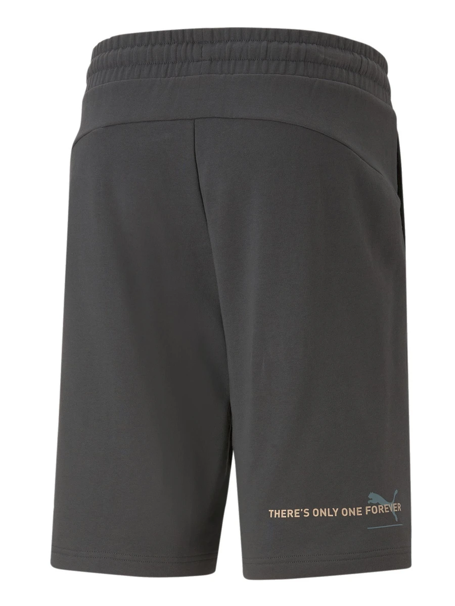 Puma Шорты мужские ESS BETTER SHORTS 10 TR