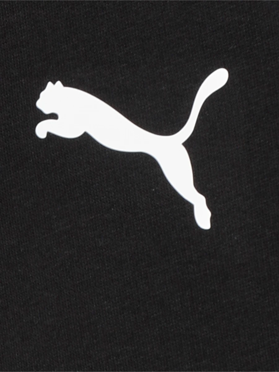Puma Брюки мужские ESS LOGO TR OP
