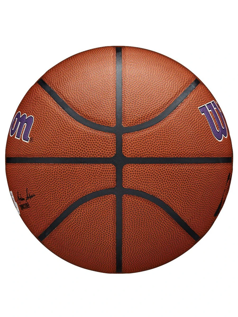 Wilson Мяч баскетбольный NBA TEAM ALLIANCE BSKT LA LAKERS