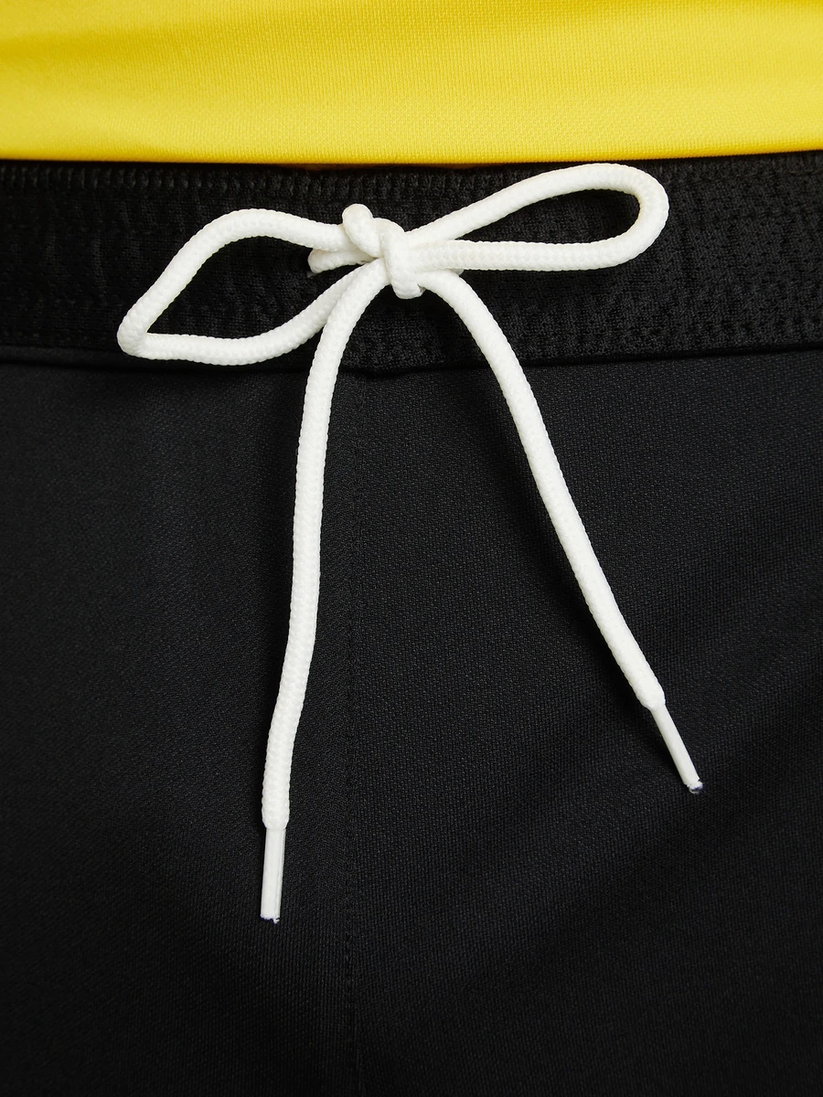 Nike Шорты мужские DF PARK 3