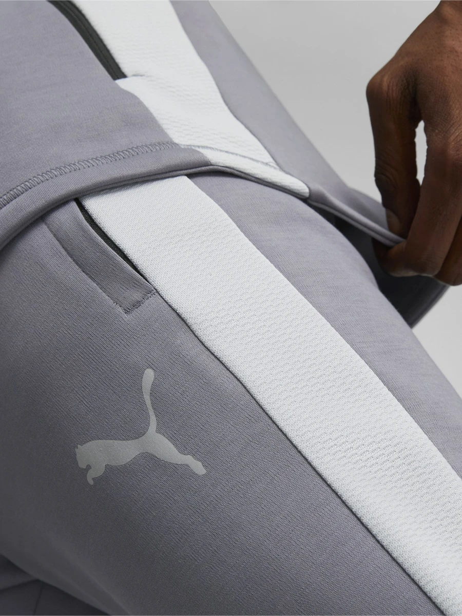 Puma Брюки мужские EVOSTRIPE PANTS DK