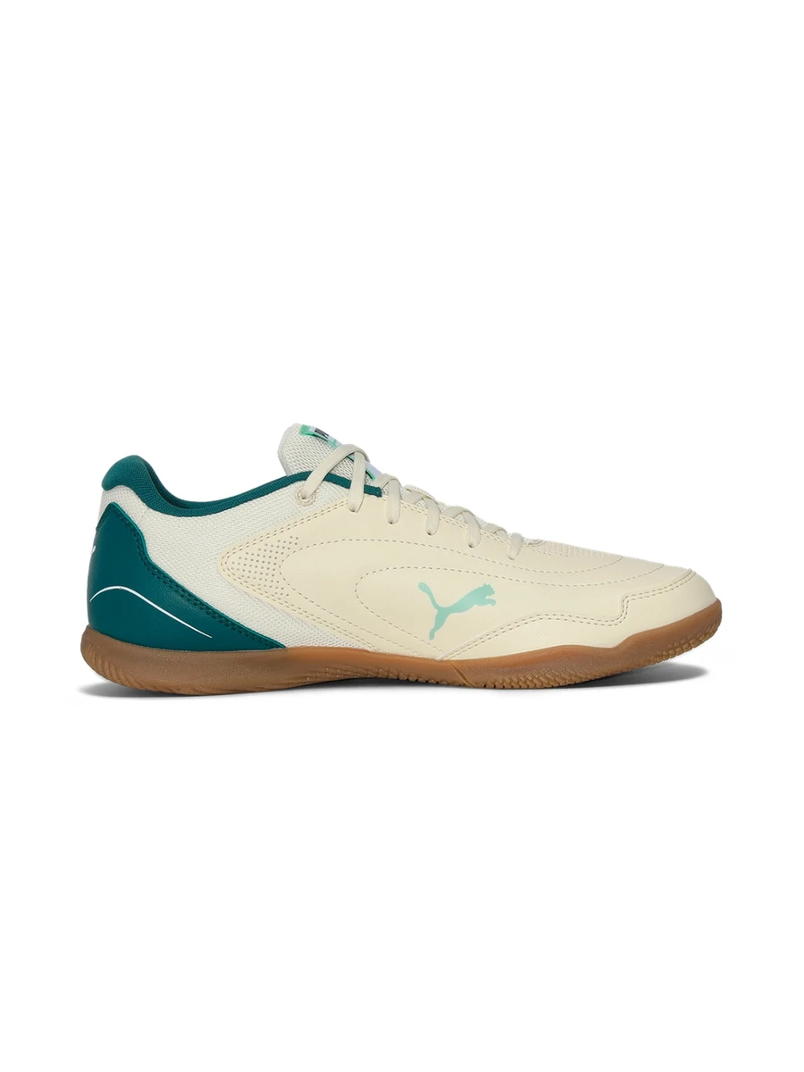 Puma Бутсы для зала мужские TRUCO IV