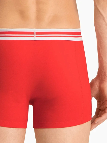 Puma Трусы мужские PLACED LOGO BOXER (2 шт.)