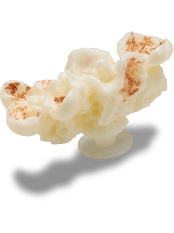 Crocs Джиббитс REALISTIC POPCORN 1