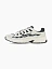 Nike Кроссовки мужские NIKE P-6000 2TONE [белый]