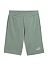 Puma Шорты мужские ESS 2 COLOR NO. 1 LOGO SHORTS 10 TR [зелёный]