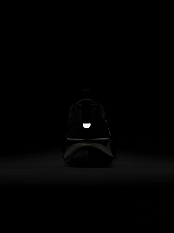 Nike Кроссовки мужские WILDHORSE 10