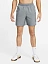 Nike Шорты мужские DF CHALLENGER 7UL SHORT [серый]