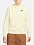 Nike Джемпер женский NSW CLUB FLC PO HDY STD [белый]