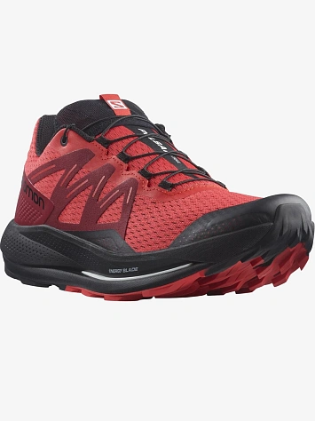 Salomon Кроссовки мужские PULSAR TRAIL