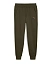 Puma Брюки мужские ESS+ 2 COL LOGO PANTS FL CL [зелёный]