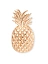 Crocs Джиббитс GOLD PINEAPPLE [жёлтый]
