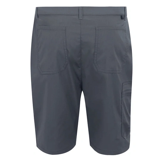 Regatta Шорты мужские DALRY SHORT