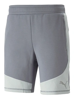 Puma Шорты мужские EVOSTRIPE SHORTS 8 DK