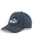 Puma Кепка ESS NO.1 BB CAP [синий]