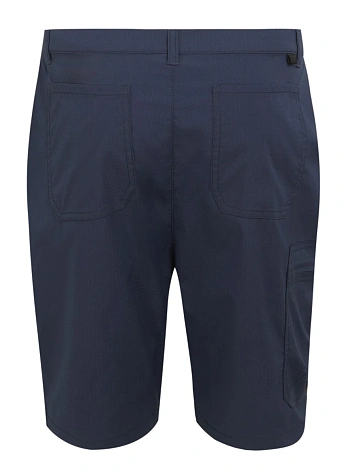 Regatta Шорты мужские DALRY SHORT