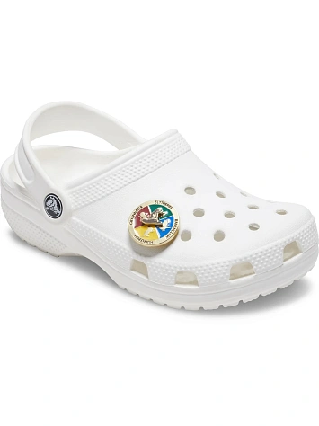 Crocs Джиббитс HARRY POTTER SORTING SPINNER