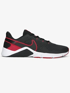 Nike Кроссовки мужские LEGEND ESSENTIAL 2