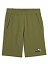Puma Шорты мужские ESS+ 2 COL SHORTS 10 [зелёный]
