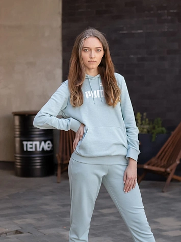 Puma Джемпер женский ESS LOGO HOODIE TR (S)