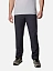 Columbia Брюки мужские WASHED OUT™ PANT [серый]