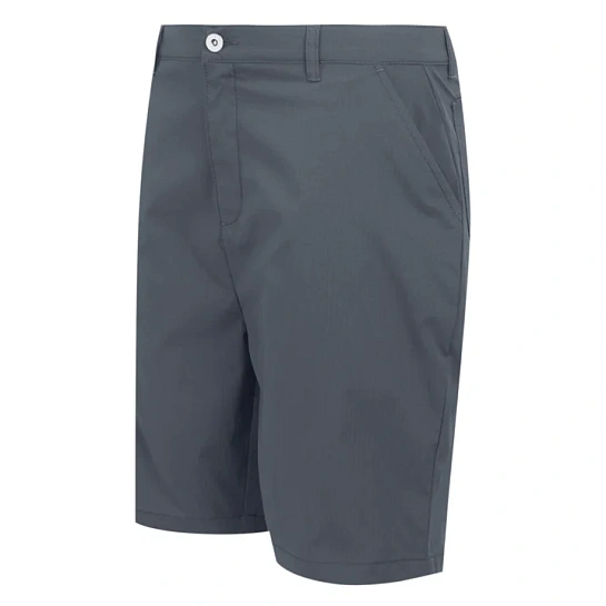 Regatta Шорты мужские DALRY SHORT