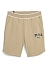 Puma Шорты мужские SQUAD SHORTS 9 TR [бежевый]