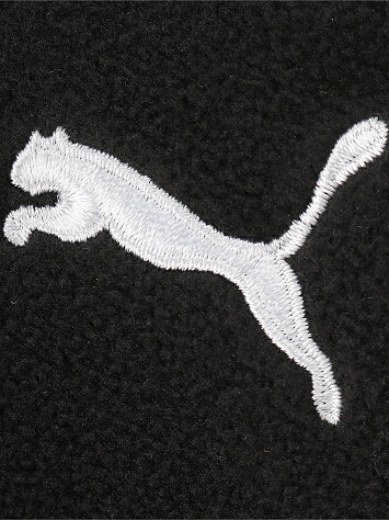 Puma Перчатки TEAMLIGA 21 WINTER GLOVES