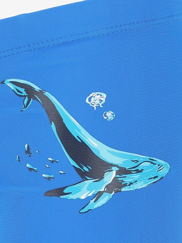 Joss Плавки-шорты подростковые