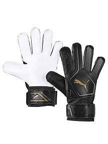 По видам спорта