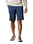 Columbia Шорты мужские SILVER RIDGE™ CARGO SHORT [синий]