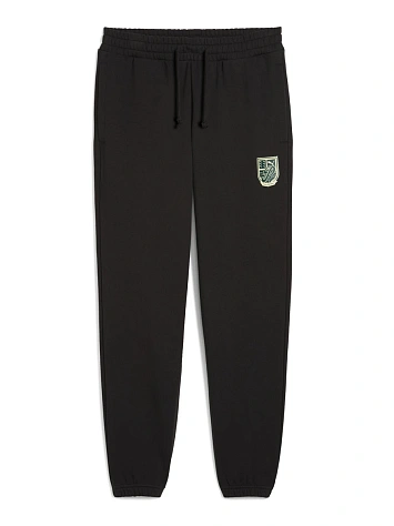Puma Брюки мужские WARDROBE ESS SPORTS LEGACY GRAPHIC SP TR CL
