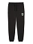 Puma Брюки мужские WARDROBE ESS SPORTS LEGACY GRAPHIC SP TR CL [чёрный]