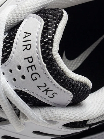 Nike Кроссовки мужские AIR PEGASUS 2005 C/O