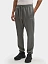 Columbia Брюки мужские BEAUMOUNT™ JOGGER [серый]