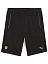 Puma Шорты мужские FERRARI RACE SWEATSHORTS [чёрный]