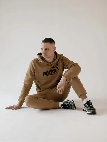 Puma Джемпер мужской ESS BIG LOGO HOODIE FL